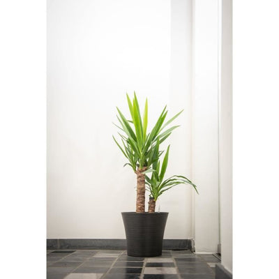 Vaso da fiori - GARDEN ID - Green Care Sense Nero-Antracite - 30 x 27 cm - Garanzia 10 anni - 100% riciclato - Resistente ai raggi UV e al gelo