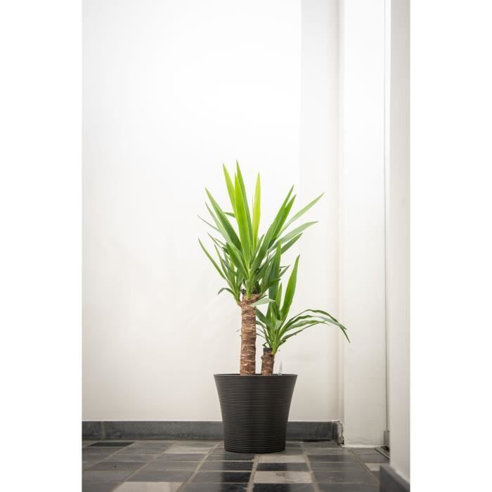 Vaso da fiori - GARDEN ID - Green Care Sense Nero-Antracite - 30 x 27 cm - Garanzia 10 anni - 100% riciclato - Resistente ai raggi UV e al gelo
