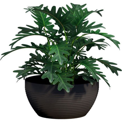 Bicchiere - GARDEN ID - Green Care Impact Nero-Anth - 35 x 16 cm - Garanzia 10 anni - 100% riciclato - Resistente UV/gel