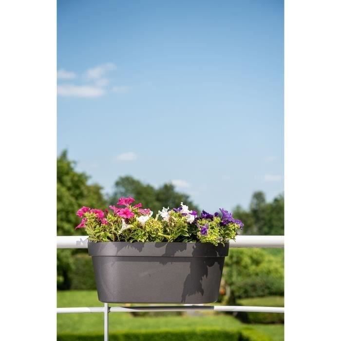 Giardiniera+gancio - GARDEN ID Star - Nero-Anth 50 x 21 cm - Fissaggio facile - Riserva d&