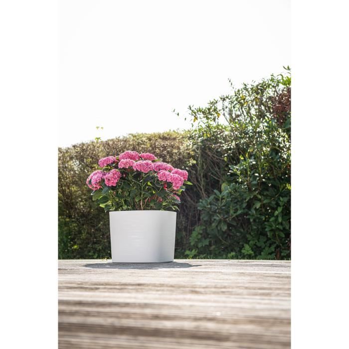 Vaso con riserva d&