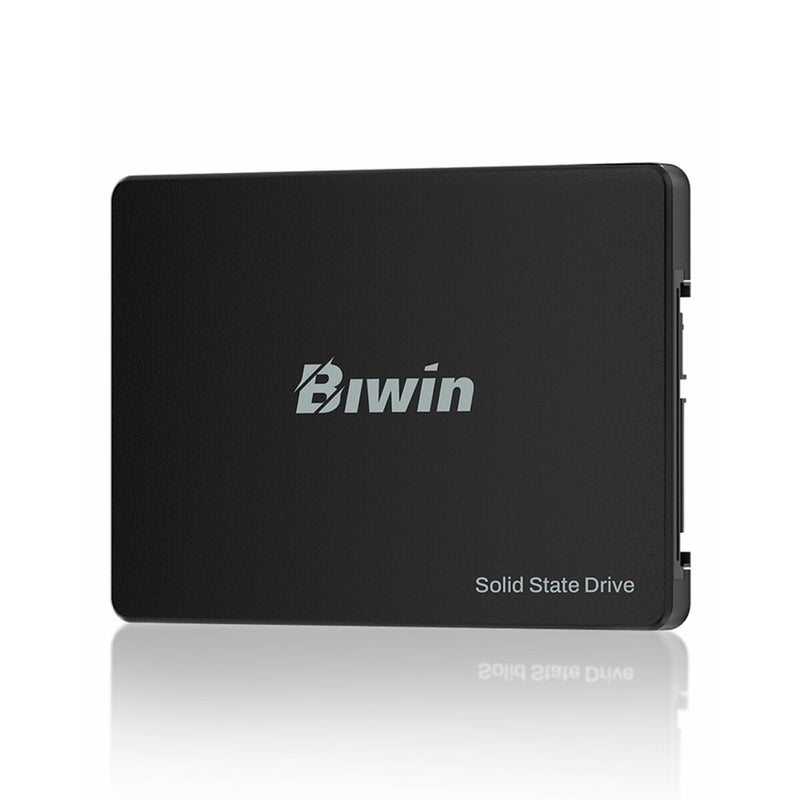 Hard Disk Biwin M100 1 TB SSD