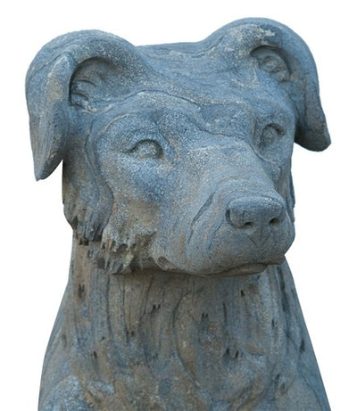 Biscottini Statua in pietra L45xPR55xH100 CM raffigurante border collie, Offerta Speciale