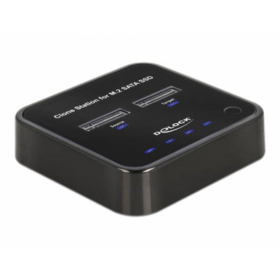 Slot per docking station SSD Delock: 2 - M.2 - Scheda M.2 - USB-C 3.2 (Gen 2)
