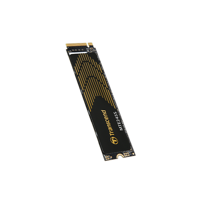 Kapazitt: 500 Gb  Interner Datendurchsatz: 5300 Mbps (lesen)/ 4600 Mbps (schreiben)  Nand-flas