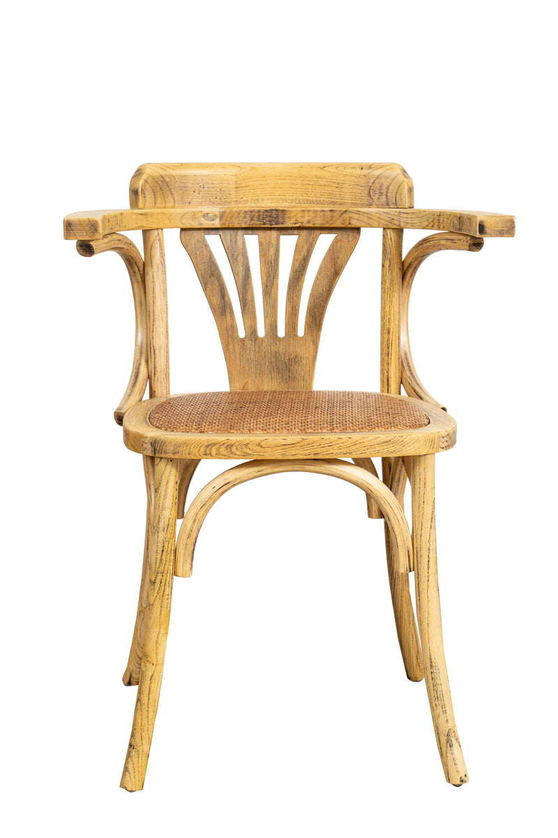 Biscottini Sedia con braccioli Thonet in massello di frassino finitura rovere e seduta in rattan