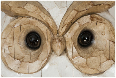 Biscottini Gufo in simil legno dipinto L53xPR21,5XH39 cm Statuetta raffigurante dimensioni