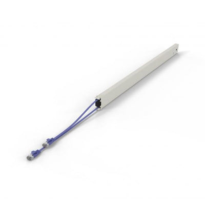 Cassette / 46RU / STP / Violet