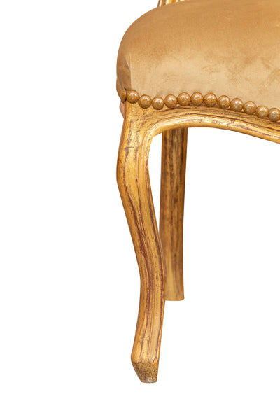 Biscottini Sedia poltroncina stile francese Luigi XVI in legno massello di faggio finitura oro