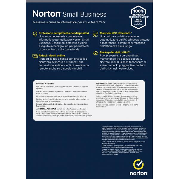 NORTON SMALL BUSINESS 1USER 10 DEV 250GB BACKUP 12 MESI