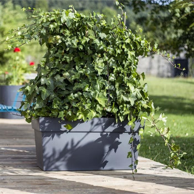 EDA Muret + ruote 74L Toscana