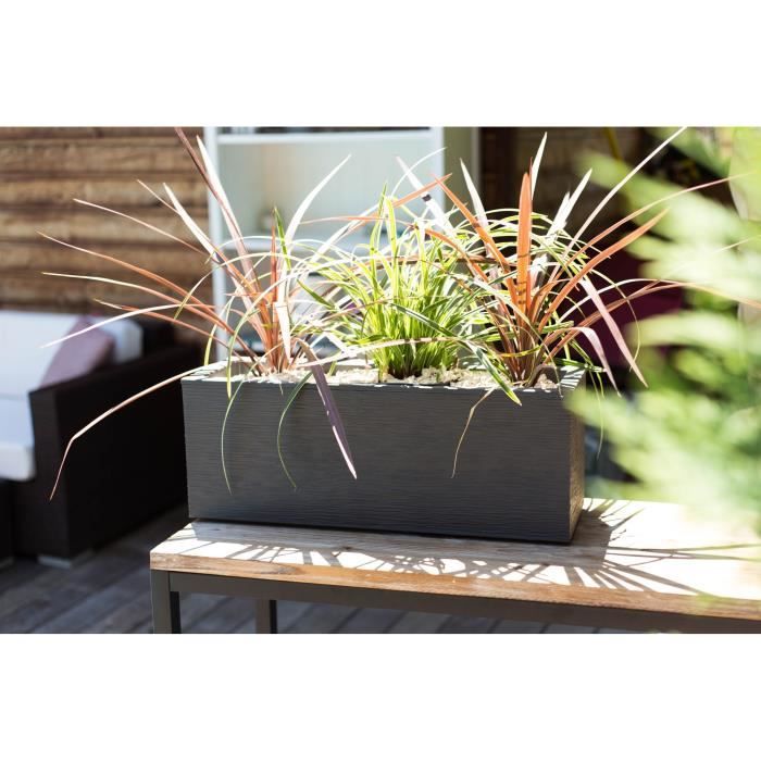Box Finestra Graphit fino a 25L