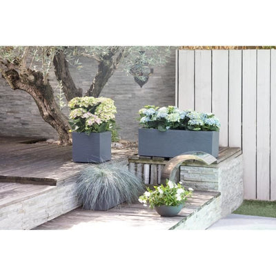 Bac fiori Graphit Fino a 21L