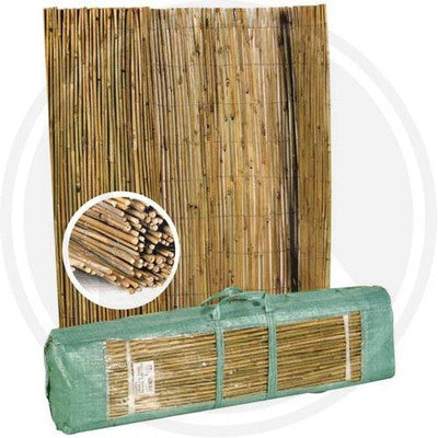 ARELLE STUOIA PER GIARDINO TAIM IN ASTUCCIO ALTA QUALITA&