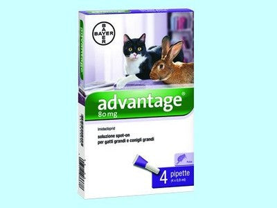 ADVANTAGE SPOT ON BAYER 80 GATTI PREVENZIONE TRATTAMENTO PULCI GATTI