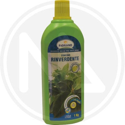 CONCIME LIQUIDO RINVERDENTE PER PIANTE BASE DI FERRO CHELATO KG. 1