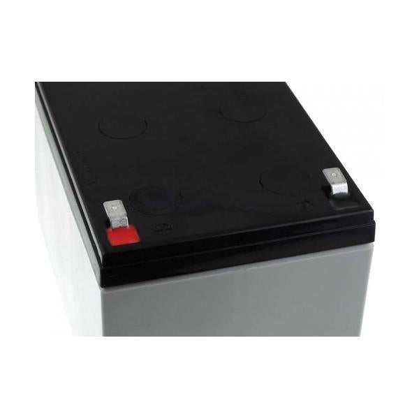 Batteria Piombo-Acido per UPS 12 V 12 Ah, NP12-12