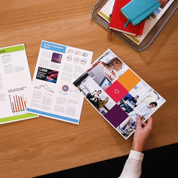 Brother TN242BK - Nero - originale - cartuccia toner