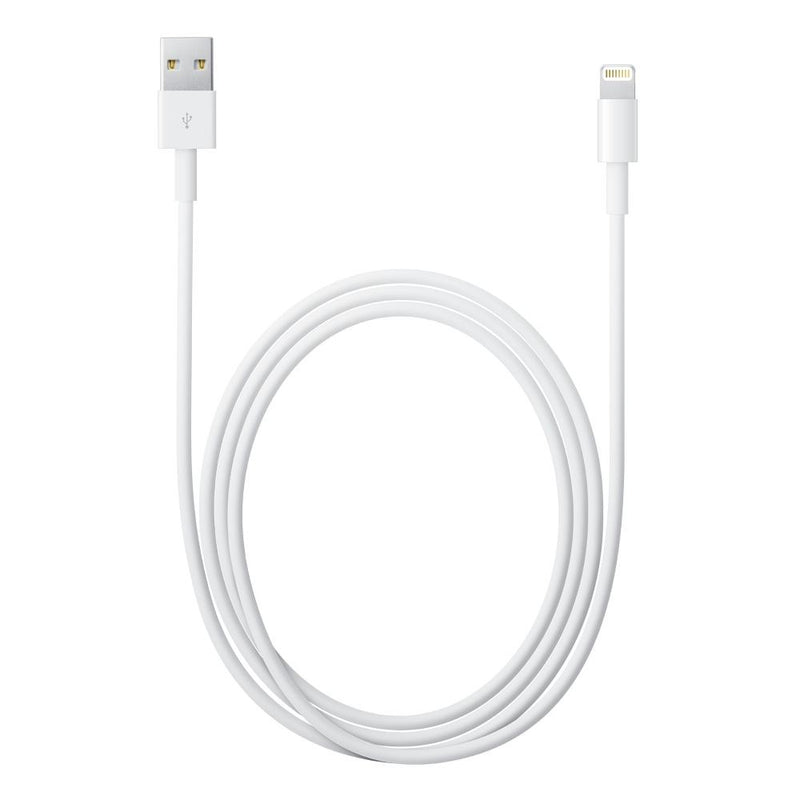 APPLE CAVO LIGHTNING / USB - 2 MT (MD819ZM/A)