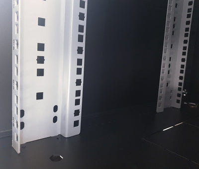 Armadio Rack NextGen 19'' 800x800 42U Porta Pan.Posteriore Grigliati Nero