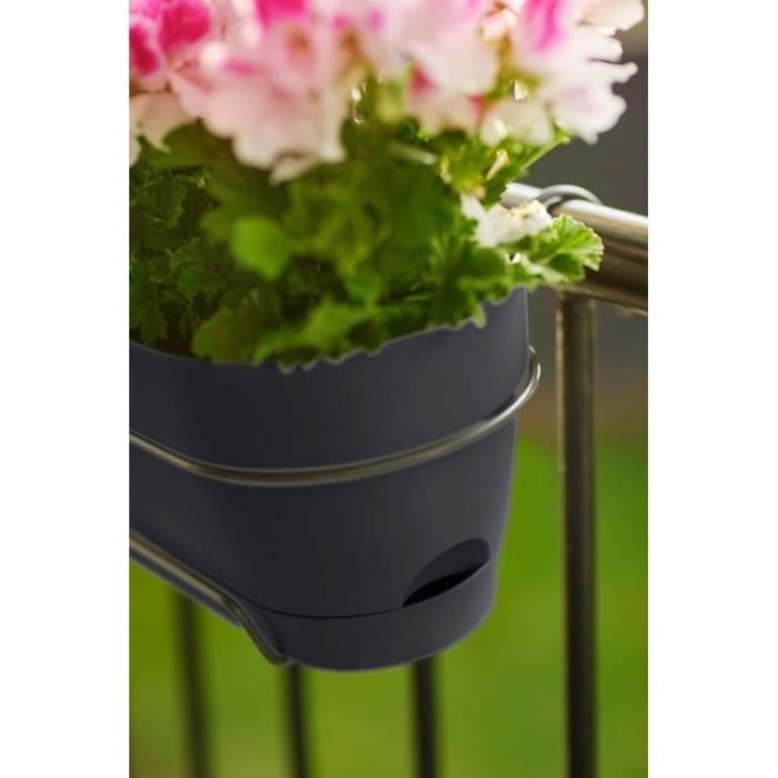 ELHO Vibia Campana Allin1 Balcone Rettangolare -  70 - Plastica - 11 l - Antracite