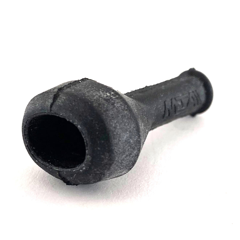 Cappuccio PM+PF JP 2 vie MTA