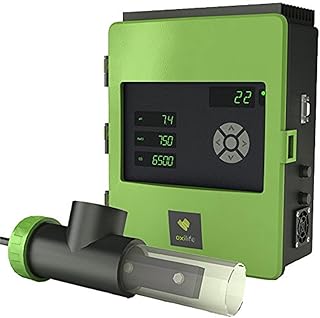 Sugar Valley Ta113 Cura dell&