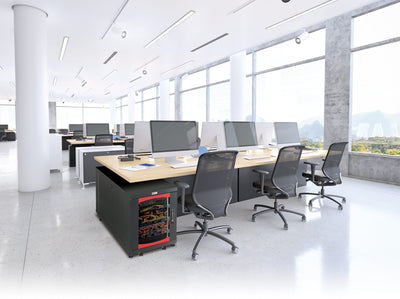 Armadio Server Rack 19'' 600x800 12 Unità Nero da sotto-scrivania