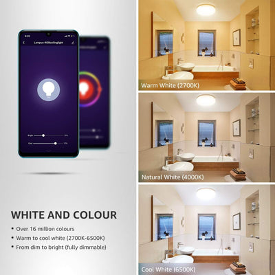 Plafoniera LED Intelligente WiFi Impermeabile, Compatibile con Alexa e Google Home, Lampada da Soffitto Controllo da App e Voce, 16 Milioni RGB + Bianco Regolabile 2700-6500K, 15W (=100W) 1250LM