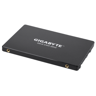Gigabyte Hdd Ssd 2.5" 256gb Gp-gstfs31256gtnd