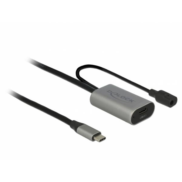 Delock USB-Verlangerungskabel - 24 pin USB-C (M)