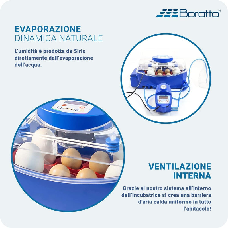 Borotto Lumia 8 Expert - Incubatrice per Uova Professionale Brevettata, Materiale Termoisolante con Antibatterico, con Umidificatore Automatico Sirio - per 8 Uova Medio/Grandi o 32 Uova Piccole