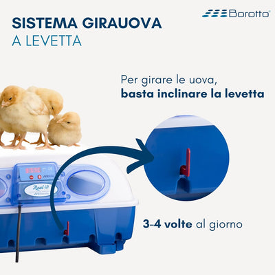 Borotto REAL 49 Semi Automatica - Incubatrice Professionale Brevettata, con Girauova a Levetta - per 49 Uova o 196 Uova Piccole