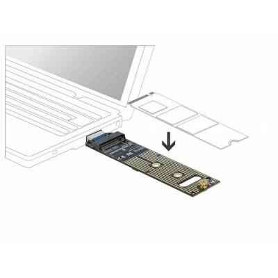 DeLOCK 64069 scheda di interfaccia e adattatore Interno M.2 (DeLOCK - lagringskontrol - M.2 NVMe Ca)