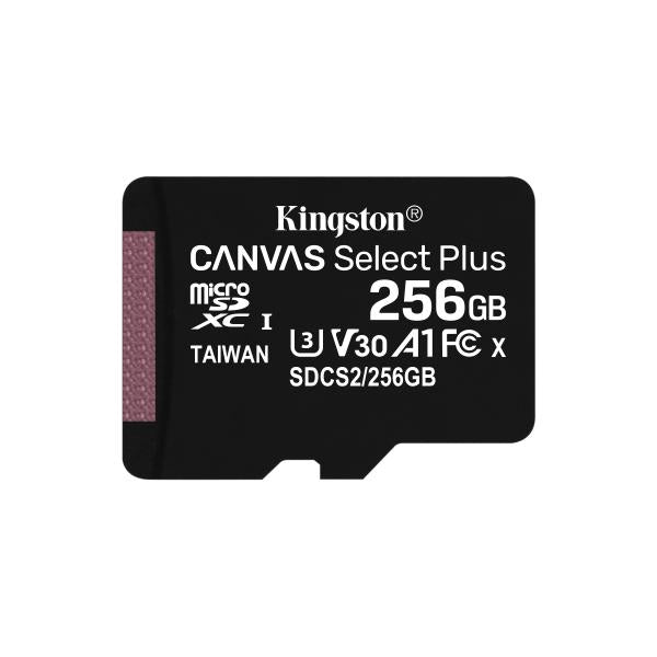 256GB micSDXC Canvas Select