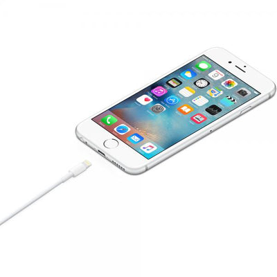 APPLE CAVO LIGHTNING A USB 1 MT (MXLY2ZM/A)