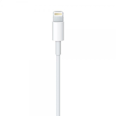 APPLE CAVO LIGHTNING A USB 1 MT (MXLY2ZM/A)