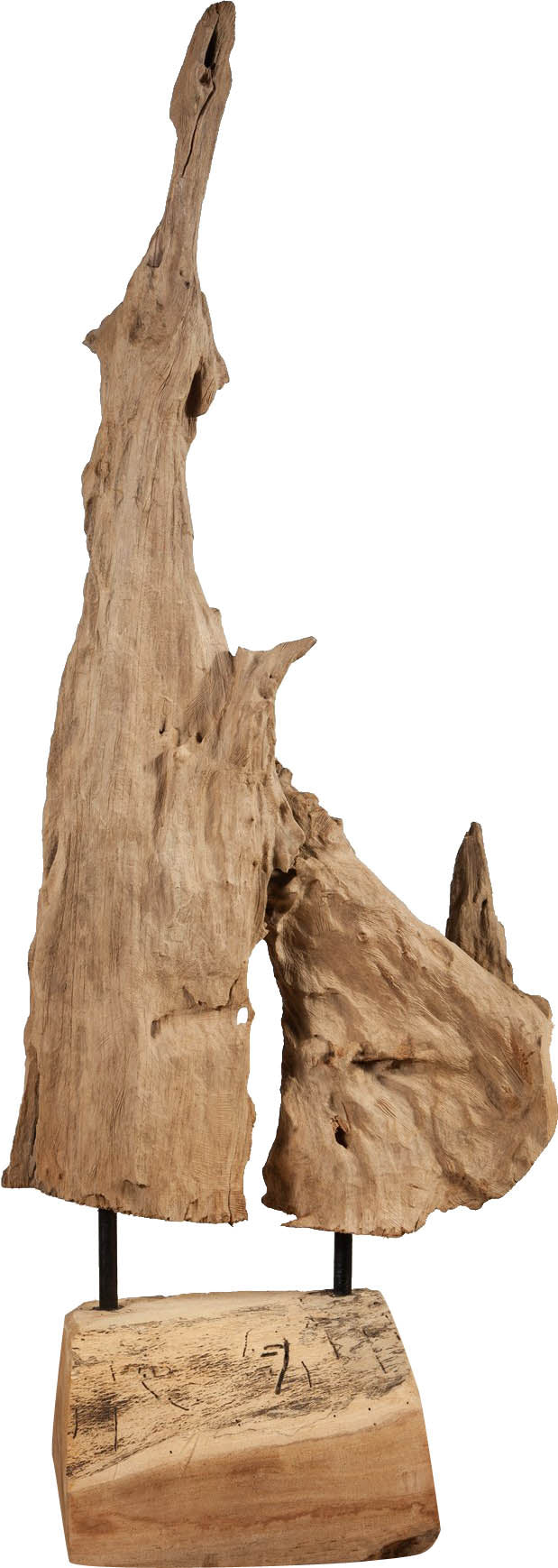 Biscottini Scultura naturale astratta in legno riportato dal mare L35xPR33xH93 cm