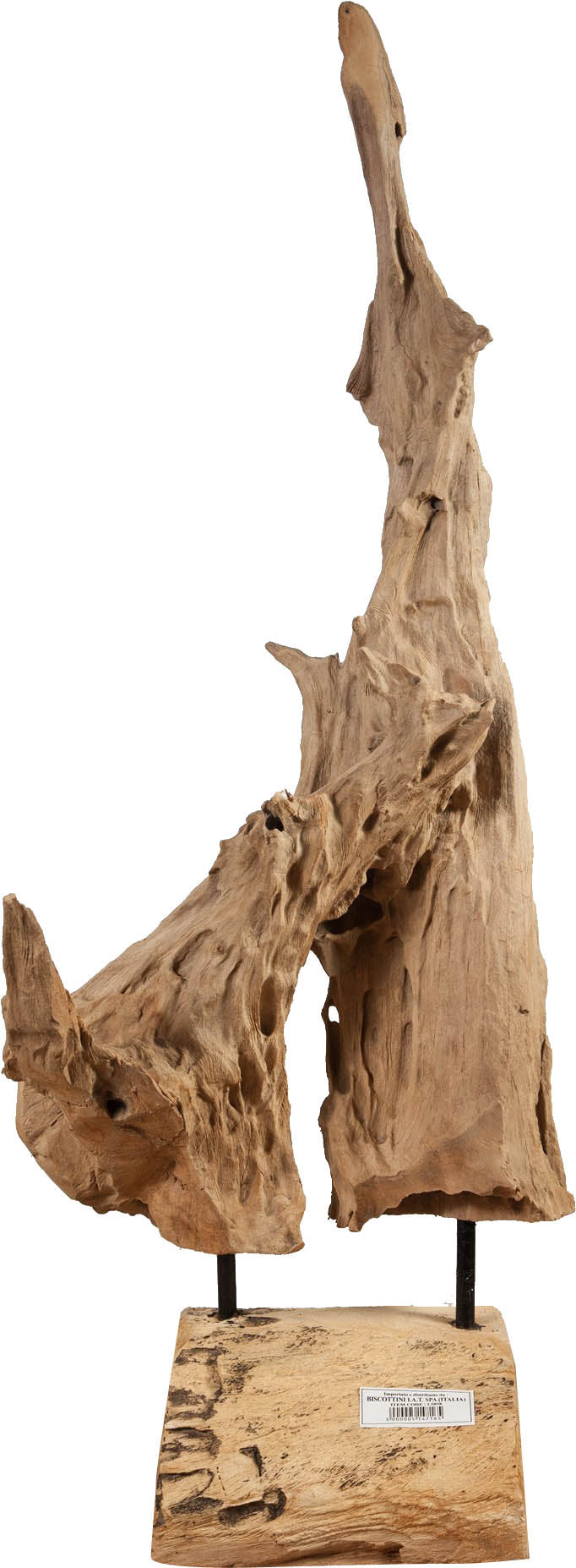 Biscottini Scultura naturale astratta in legno riportato dal mare L35xPR33xH93 cm