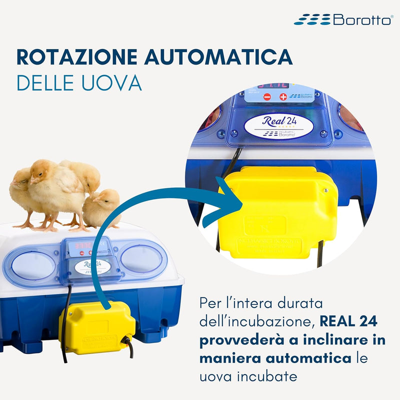 Borotto REAL 24 Automatica - Incubatrice per uova automatica Professionale Brevettata, con Girauova Automatico - per 24 Uova o 96 Uova Piccole