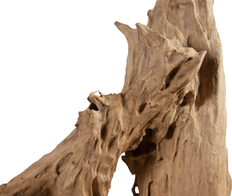 Biscottini Scultura naturale astratta in legno riportato dal mare L35xPR33xH93 cm