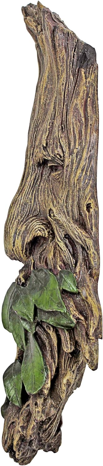 Design Toscano Wilhelm l'uomo dei boschi sussurante Scultura da parete, poliresina, a colori, 38 cm