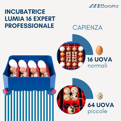 Borotto Lumia 16 Expert - Incubatrice per Uova Professionale Brevettata, Materiale Termoisolante con Antibatterico, con Umidificatore Automatico Sirio - per 16 Uova Medio/Grandi o 64 Uova Piccole