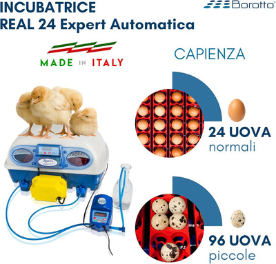 Borotto REAL 24 Expert - Incubatrice Automatica Professionale Brevettata, con Umidificatore Automatico Sirio - per 24 Uova o 96 Uova Piccole