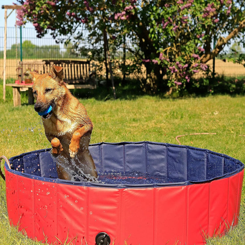 Piscina per Cani Pieghevole in PVC Piscinetta per Cani Bagno per Cani Piscina per Cani di Diverse Misure, (S) 80 cm Ø Altezza 20 cm Blu/Rosso