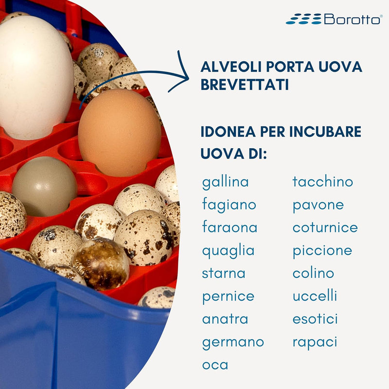 Borotto Real 49 Plus Automatica - Incubatrice Professionale Brevettata, Girauova Automatico, Materiale Termoisolante con Antibatterico - per 49 Uova o 196 Uova Piccole