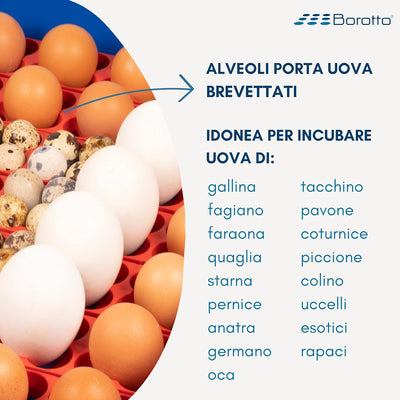 Borotto LUMIA 56 Automatica - Incubatrice per Uova Professionale Brevettata, con Girauova Automatico - per 56 Uova Medio/Grandi