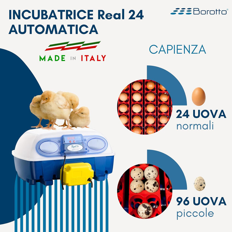 Borotto REAL 24 Automatica - Incubatrice per uova automatica Professionale Brevettata, con Girauova Automatico - per 24 Uova o 96 Uova Piccole