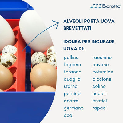 Borotto LUMIA 8 Automatica - Incubatrice per Uova Professionale Brevettata, con Girauova Automatico - per 8 Uova Medio/Grandi o 32 Uova Piccole