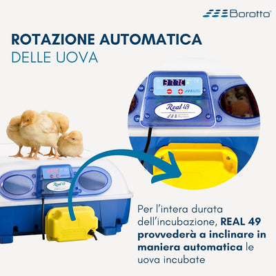 Borotto Real 49 Plus Automatica - Incubatrice Professionale Brevettata, Girauova Automatico, Materiale Termoisolante con Antibatterico - per 49 Uova o 196 Uova Piccole